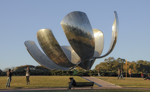 floralis generica