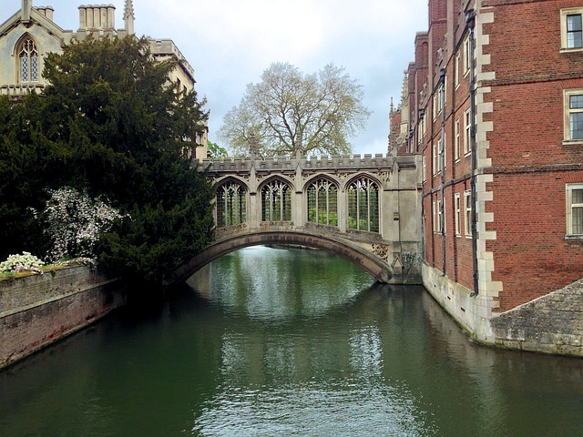 o que fazer em cambridge