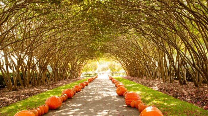 Dallas Arboretum