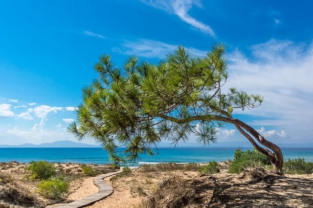 praia atenas