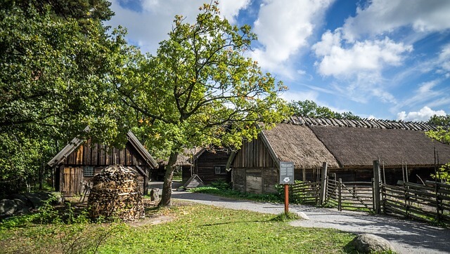 skansen suécia