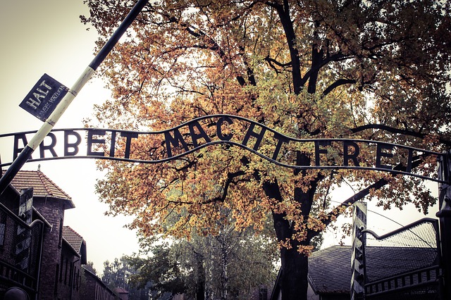 frase entrada auschwitz