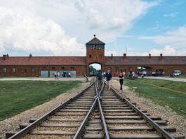 auschwitz
