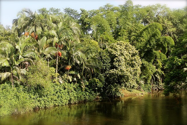 ilha de itaparica
