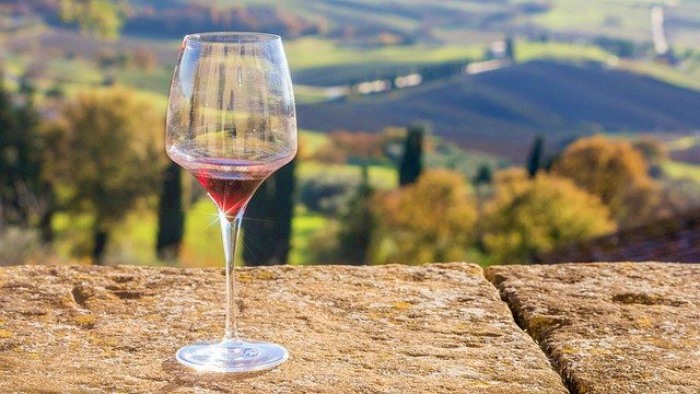 vinho mendoza